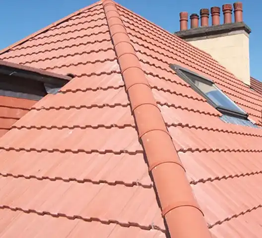 DPS Roofing